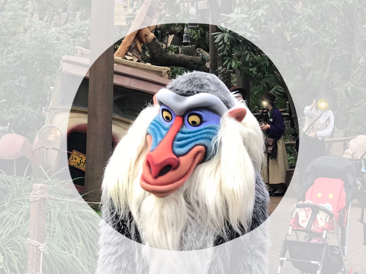 セリフで学ぶ英語 ディズニー ジブリ 海外ドラマ Oh Yes The Past Can Hurt But The Way I See It You Can Either Run From It Or Learn From It 過去の痛みは続く そこから逃げ出すか 何かを学びとるか ラフィキ ライオンキング 英語学習