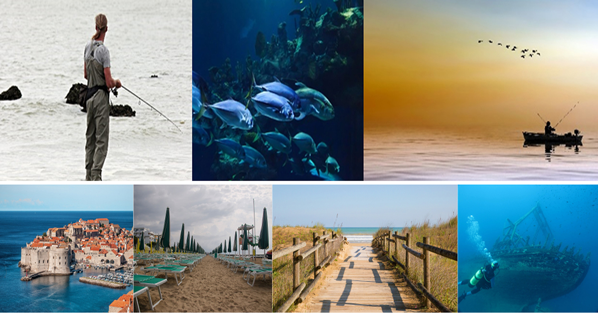 Join the ECOSS meeting organized by Ca’ Foscari University of Venice! We'll talk about the relationship between ecosystem services and ecological status. The meeting will be held online on Wednesday 30th June 2021 at h. 11:00 and is open to all of you!
unive.zoom.us/j/83062769920