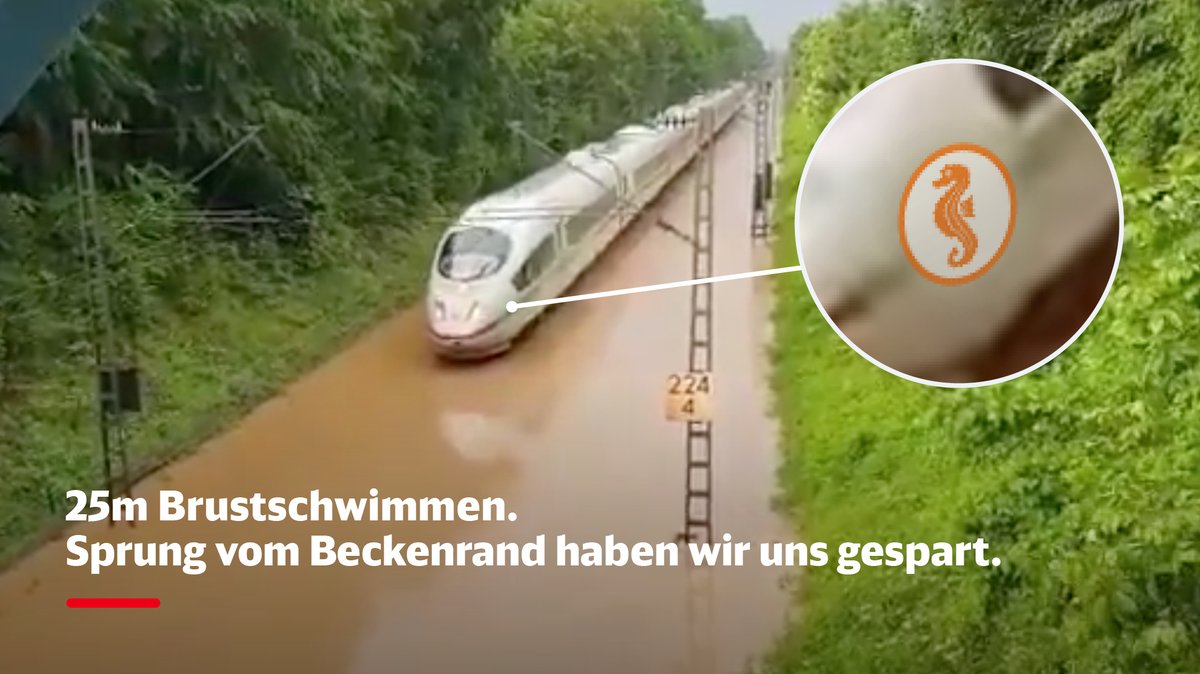 DB_Presse's tweet image. Seepferdchen bestanden.