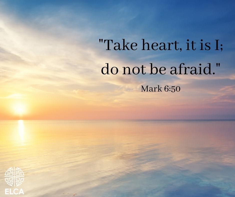 relcmedia tweet media