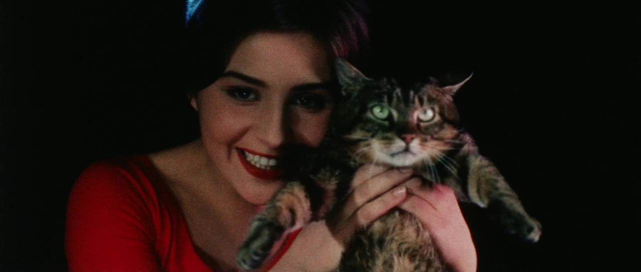 La Ronrontheque Ressortie Au Cinema D Un Classique De La Ronrontheque En Copie Restauree 4k Un Jour Un Chat De Vojtech Jasny 1963 Le Film Fait Partie De La Selection