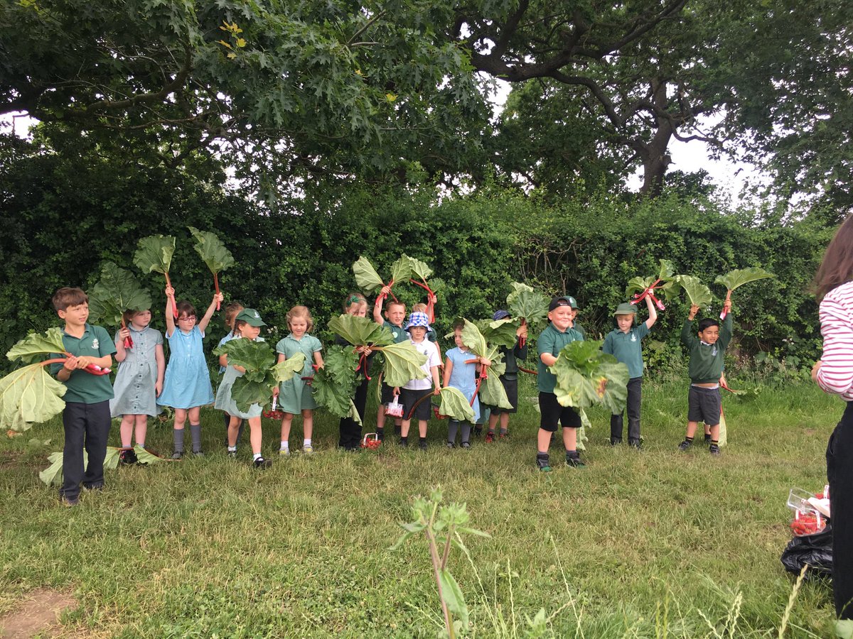 rachel72h's tweet photo. Lovely day ⁦fruit picking with ⁦@trafinfants⁩ with thanks to ⁦@sfmtweet⁩ and ⁦@WholeFoodsUK⁩ for making this happen, back to school for jam making https://t.co/ltIVTBDhEm