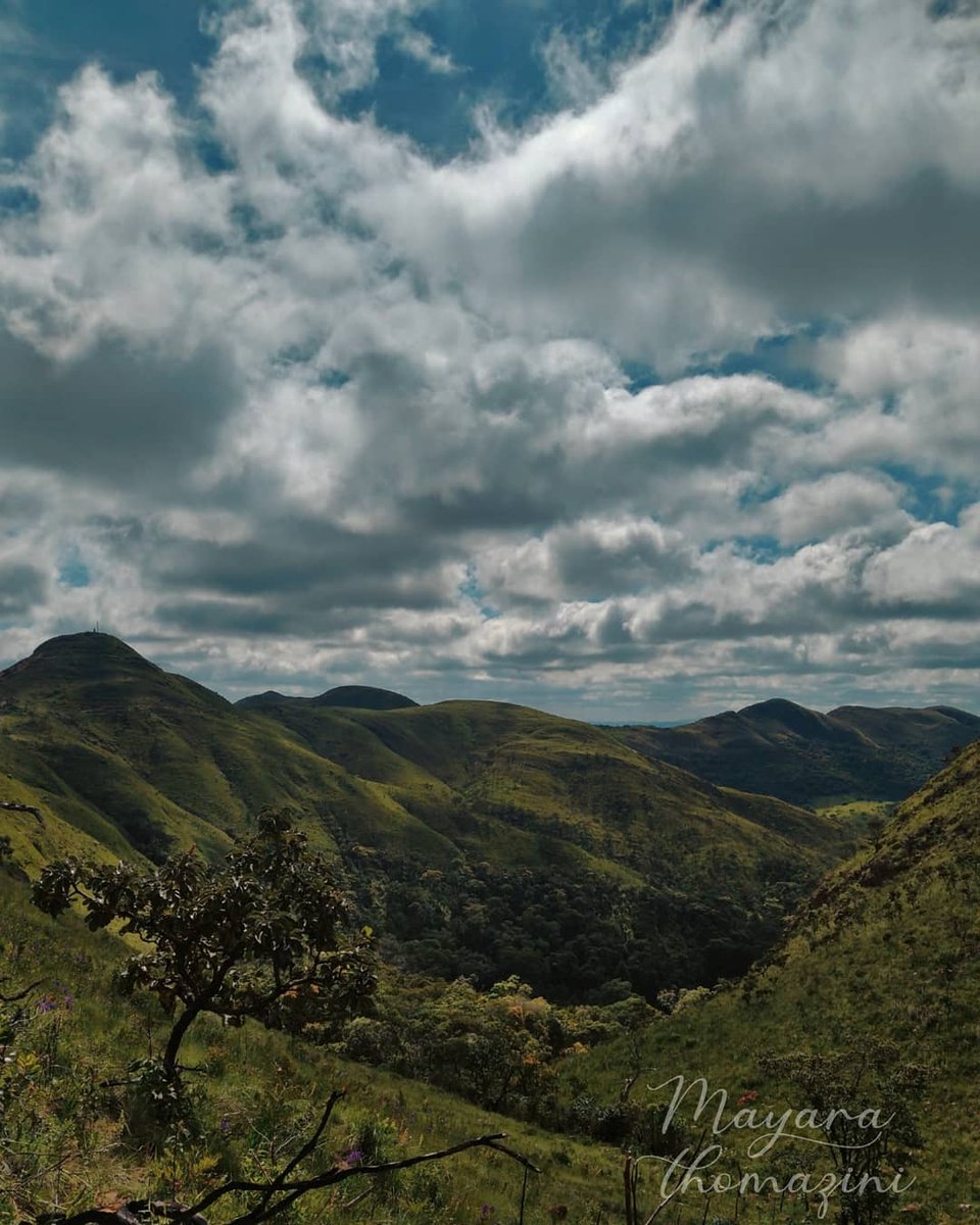 Floresteirosbr's tweet photo. As nuvens pesadas, os relevos do do bioma que expande o espaço das sensações!

Lavras -MG

Mayara Suely Thomazini Miranda

#fotografias #engenhariaflorestal #concursodefotografias #concursodefotos #photograph #paisagem #meioambiente #clickflorestal https://t.co/wkRnTeHh1F