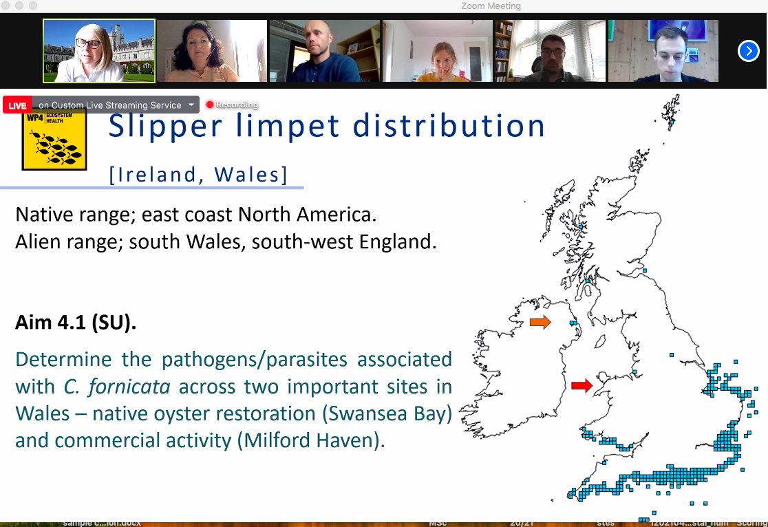 👏👏 Interesting first day of talks for the <a href="/BlueFish_EU/">BlueFish</a> Conference with <a href="/CullotyS/">Prof. Sarah Culloty</a> @CJCoatesBio and Dr. Sharon Lynch discussing how #biosecurity will be challenged by #invasives and #pathogens in a changing marine environment🦠🦀🦪🌊 <a href="/uccBEES/">Biological, Earth & Environmental Sciences, UCC</a> <a href="/eriucc/">Sustainability Institute</a>