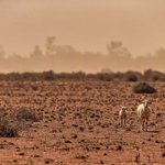 Image for the Tweet beginning: Hydrological droughts can persist indefinitely