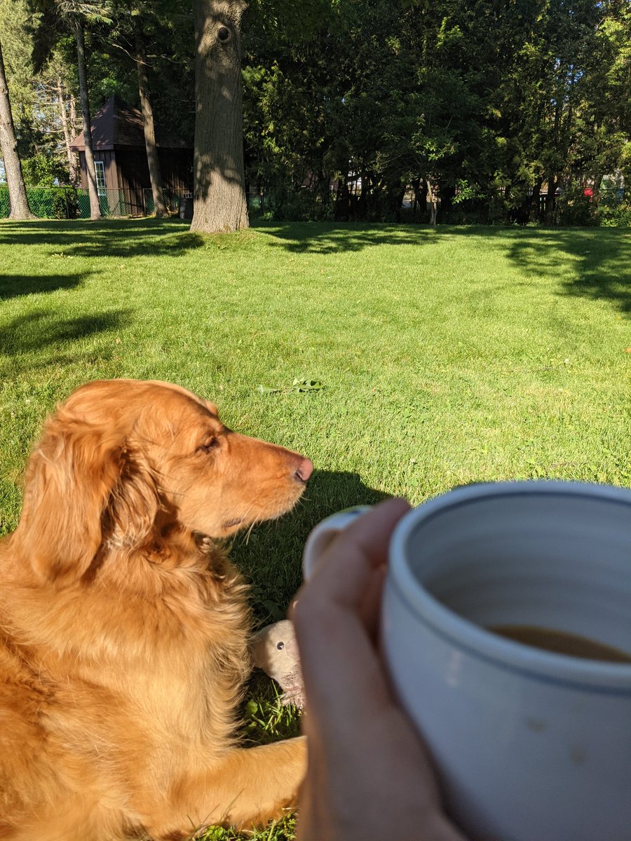 The best way to start my morning before a day on Zoom 🙌