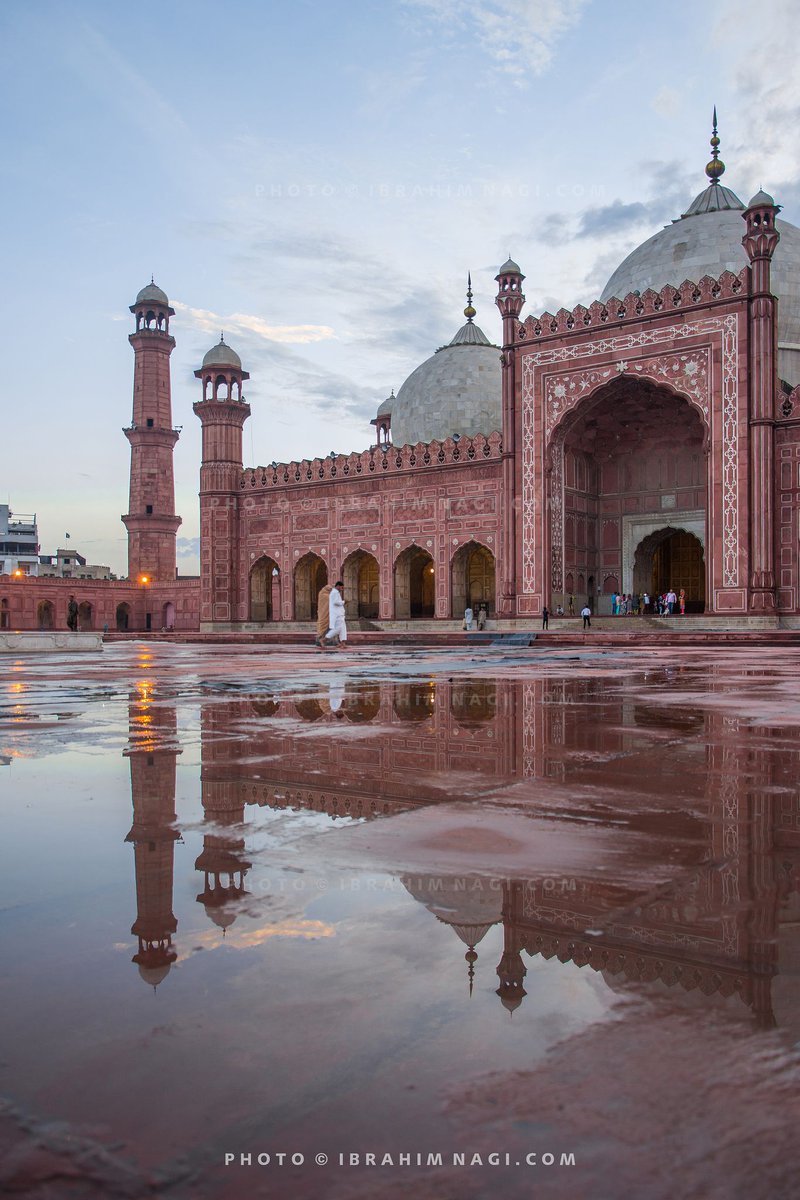 INSTUCEN Trust tweet media