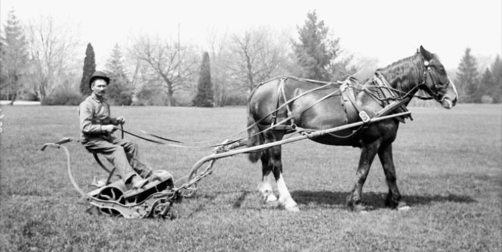HistoricPlaces's tweet photo. Summer has arrived! It's the perfect time to go out and visit ornamental gardens and arboretums like the ones at the Central Experimental Farm #nationalhistoricsite, or to just mow your lawn... 🐴 https://t.co/PhKxCxorZy

📸: @LibraryArchives https://t.co/facQgJwm1s