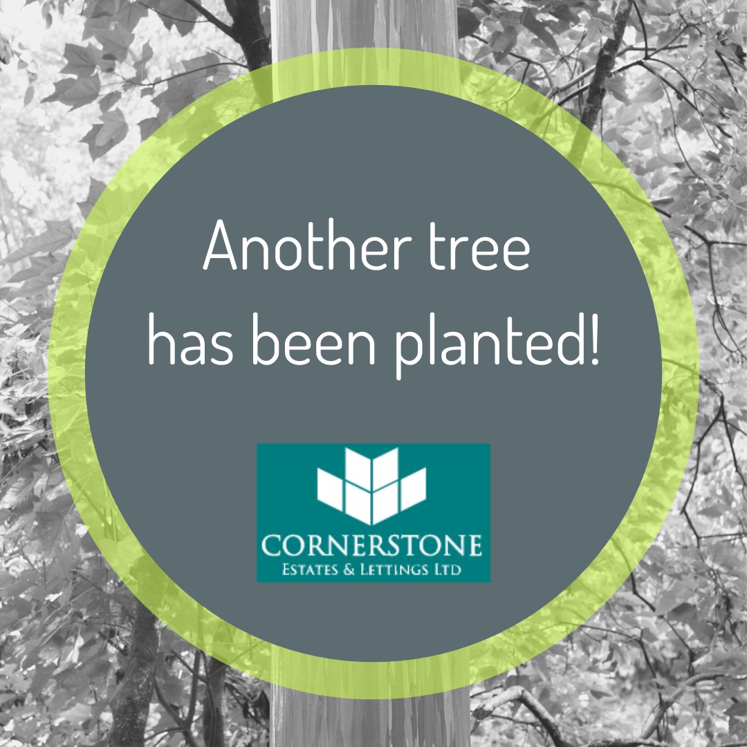 fp_resourcing's tweet photo. A big thank you to Shereen at Cornerstone Estate Agents &amp; Lettings, you have been a pleasure to work with and we can’t wait to hopefully work with you in the future!

#TreePlanting #FreshForest #GreenBusiness 

Shereen Pitt https://t.co/jW9eHNWPmC