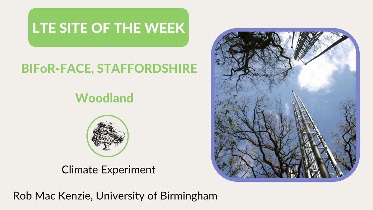ECT_UK's tweet photo. #BIFoRFACE, #Staffordshire is the #LTESiteOfTheWeek. Rob Mac Kenzie is conducting a #climate #experiment at this #woodland #LTE site https://t.co/KiwzLcyfLv Listen to our #podcast #interview with Kris Hart https://t.co/tJH4lmNcva @HartKris1 @BIFoRUoB @unibirmingham https://t.co/mQtBtWZ1ai