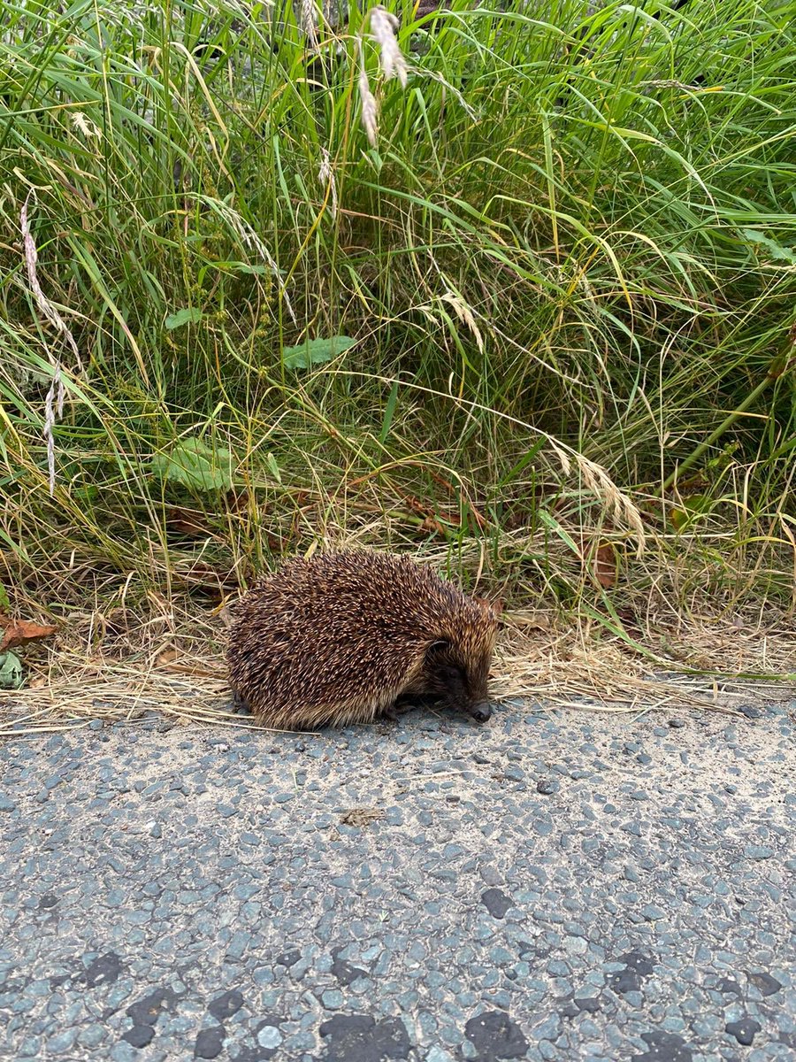 The Lock In with Jeremy Paxman tweet media