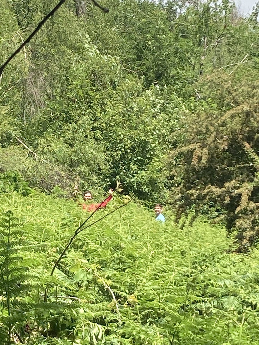 twhard's tweet photo. Bit of a change of scenery in work this week, volunteering in the #BreconBeaconsnationalpark with #TeamISG https://t.co/CqAGsugLXo