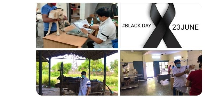 vetfamily3's tweet photo. As a matter of fact it takes a much cleverer man to be a really good animal-doctor than it does to be a good people's doctor.#BoycottManekaGandhi #RespectVeterinarians @presidentVCI @PMOIndia @narendramodi https://t.co/cG3FALpsHR https://t.co/rxcXVdmVwT