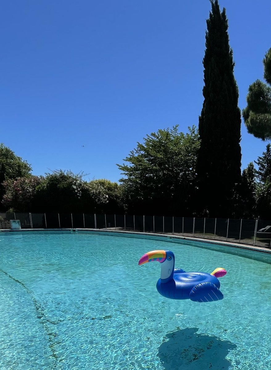 vanessa___dc's tweet photo. On vous présente Fernand le Toucan, notre nouvel animal de compagnie au Château de la brague 😂@antibes_jlp #ehpad #piscine #CotedAzurFrance #antibes https://t.co/6C2y9b8Pfb