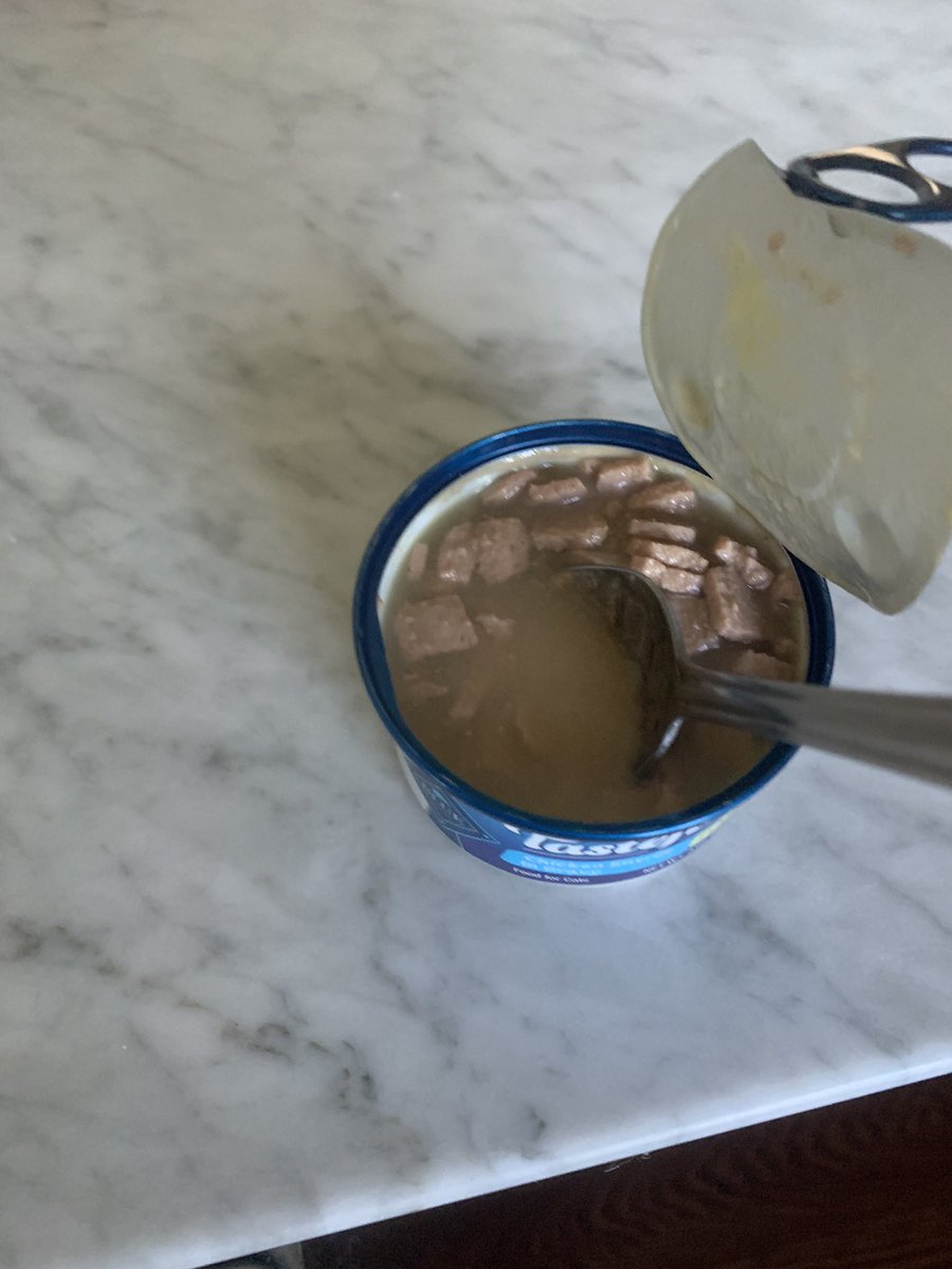 MikeDtoMyDismay's tweet image. Hey @bluebuffalo I know your #Tastefuls line is supposed to have more water content, but this seems like a bit much. #manufacturingerror maybe? #catfood