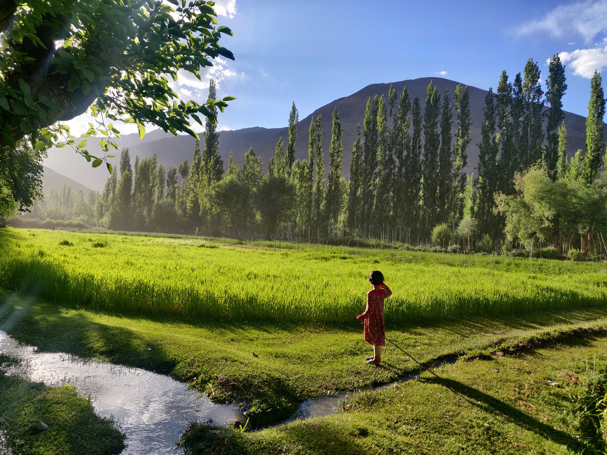 BasharatIssa's tweet photo. Seeing off the sun for today! 

#Yasinvalley https://t.co/70BpAZXuxY
