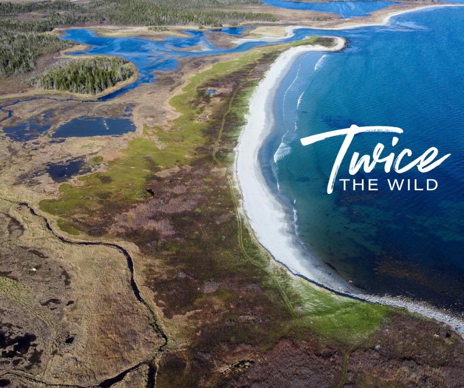 NSNatureTrust's tweet photo. We're proud to announce that we have saved 363 acres of spectacular coastal wilderness near Port La Tour! This success secures one of #NovaScotia’s last large and ecologically rich coastal properties - read the full story: https://t.co/7KRCotFfQH #TwiceTheWild https://t.co/lXOq2RbpgN