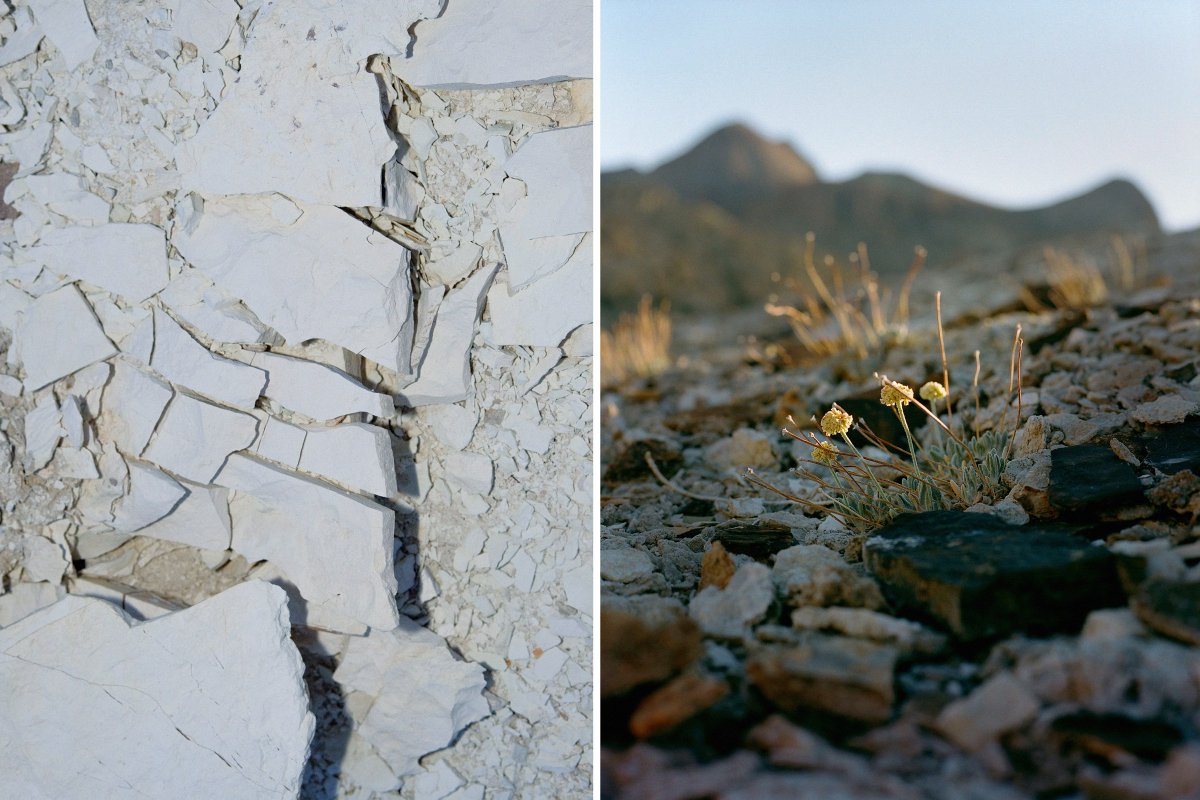 WIRED's tweet photo. These rocks rich in lithium could help reduce dependence on fossil fuels and power 400,000 clean-energy car batteries. But there's one roadblock: a rare, fragile species of buckwheat, which for a mine might mean extinction: https://t.co/EsNUpJ6dlH

📸: Aubrey Trinnaman https://t.co/Sht1LYdUOk