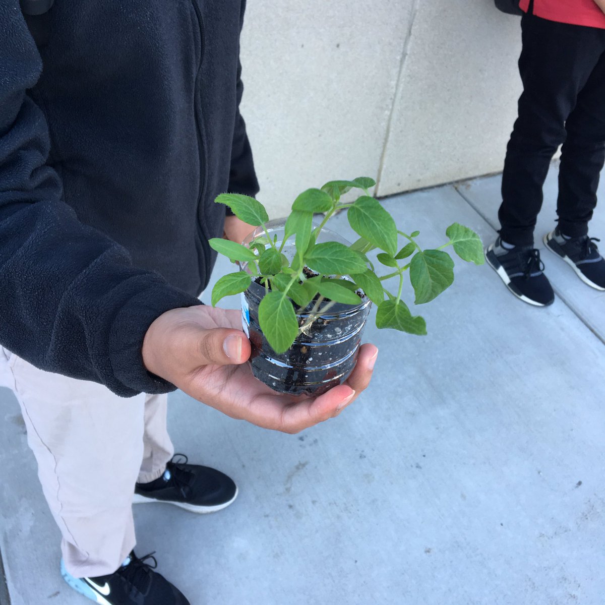 dailySTEM Chris Woods tweet media