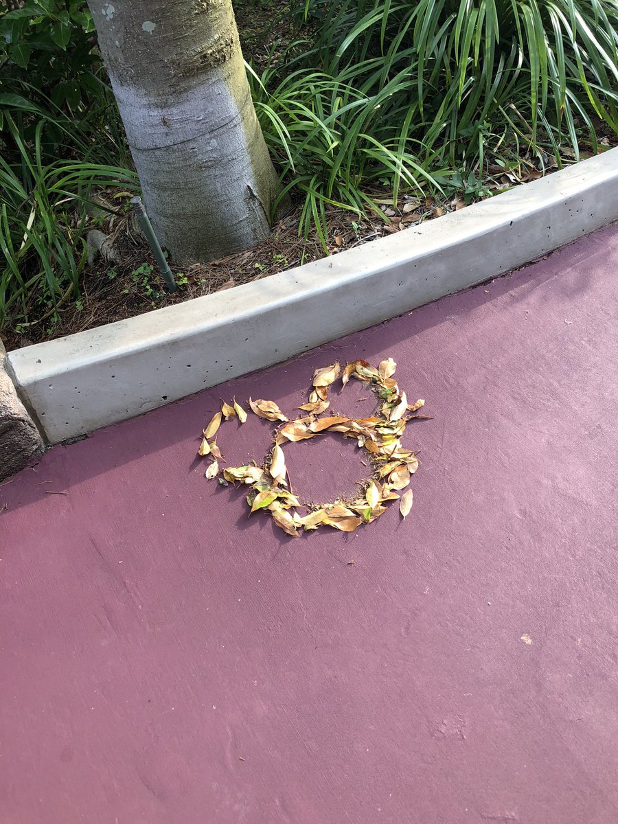 to1017_ri's tweet photo. DisneySeaで彼氏がプロポーズしてくれた💍✨ https://t.co/Kg8iLXHYp5