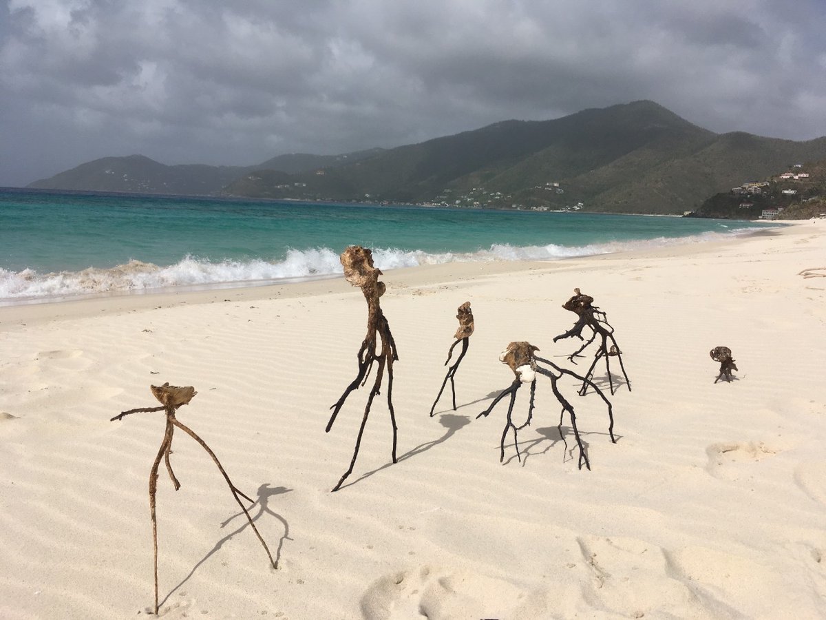MyALL Tortola, une expérience qui vous éblouira 😎 

#bvi #bviluxury #caraïbes #vacancesdereve #vacancesausoleil #maisondereve #villamyall #myallresidence

fr.bviluxury.com/the-villa