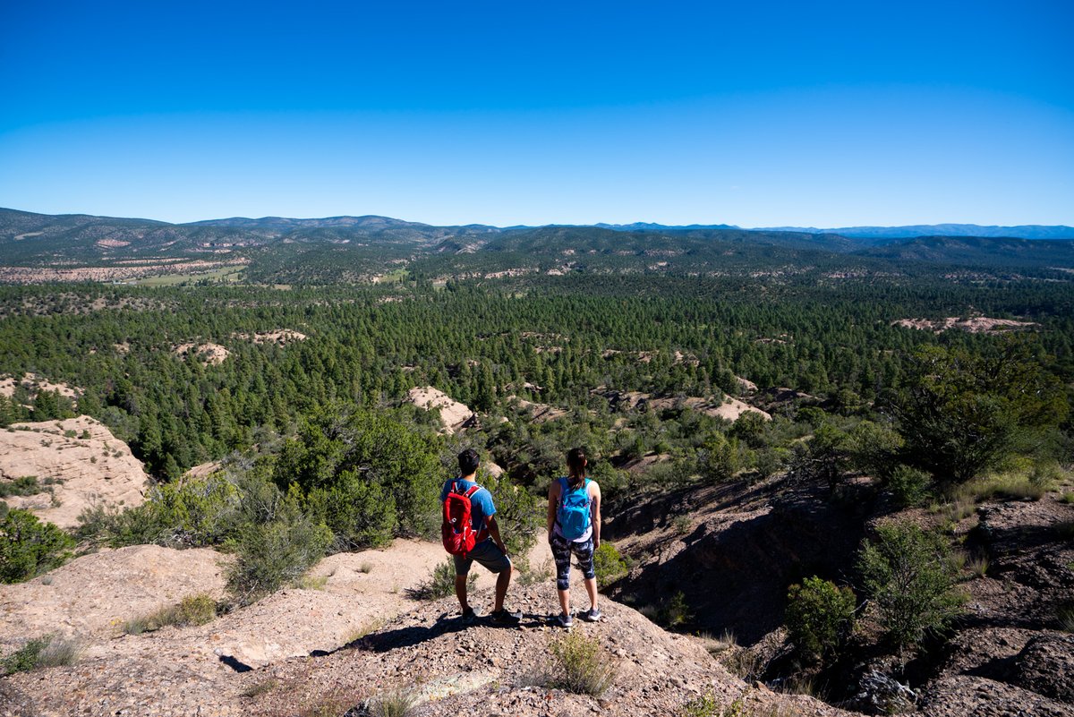 The #GilaNationalForest is one of those places where we were social distancing before it was trending. 🌲 🐻🦎 🐦 😌 📸: #WNMU #NMnature #NMhiking #wilderness #wild #thursdaythoughts ow.ly/dTev50FgQSi