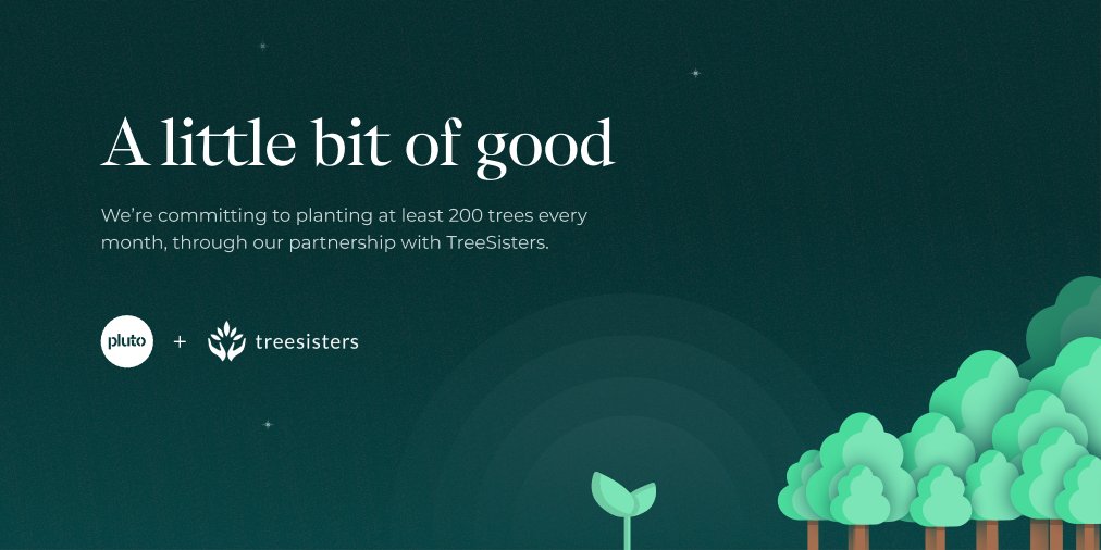Through our new partnership with @treesisters, we're committing to planting a minimum of 200 trees per month. Because with the environmental impact of travelling, we're trying to do our bit to reduce the carbon dioxide within the earth's atmosphere.
blog.pluto.travel/treesisters/