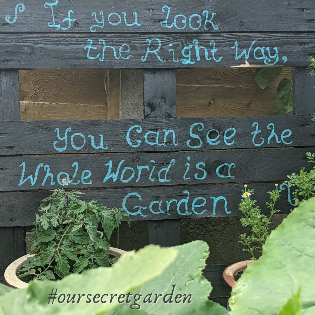 peat_free's tweet image. The #garden is a great retreat and antidote to stress in these turbulent times. Who else is growing veggies? #growyourown 🥕🌻 #oursecretgarden 🏡🤫