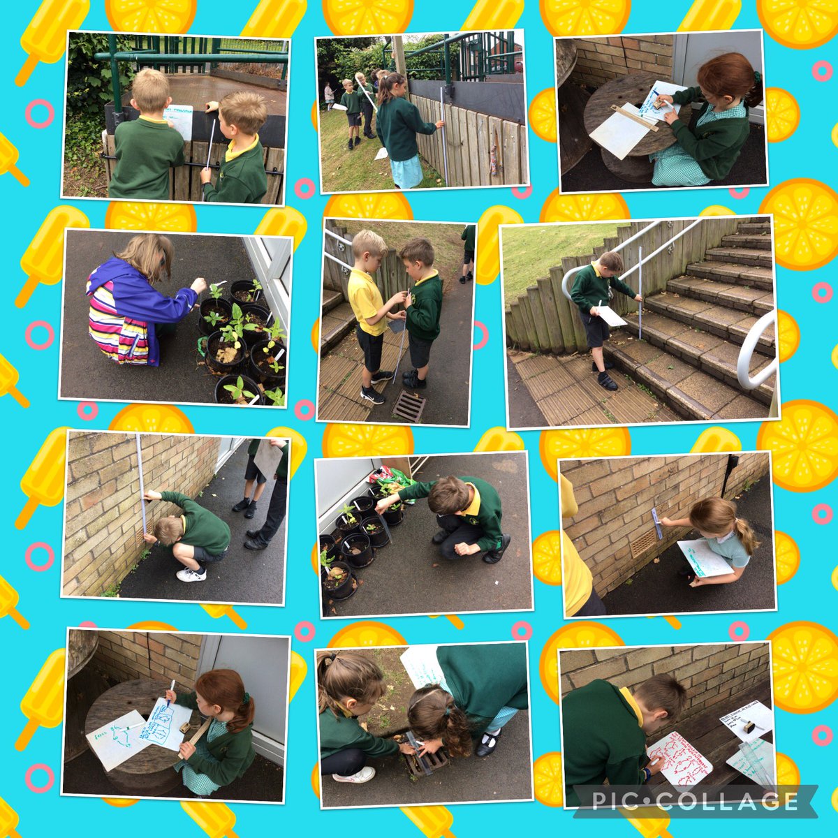 StMarysRCSch's tweet photo. Dosbarth Tri went outside to measure different objects and then halve the amount. #SMRY3 #OutdoorLearning #CuriousAndActive @EAS_Numeracy https://t.co/fA94SO9l7w