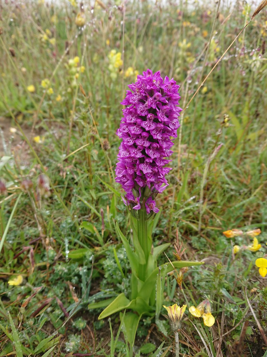 Robbie Blackhall-Miles tweet media