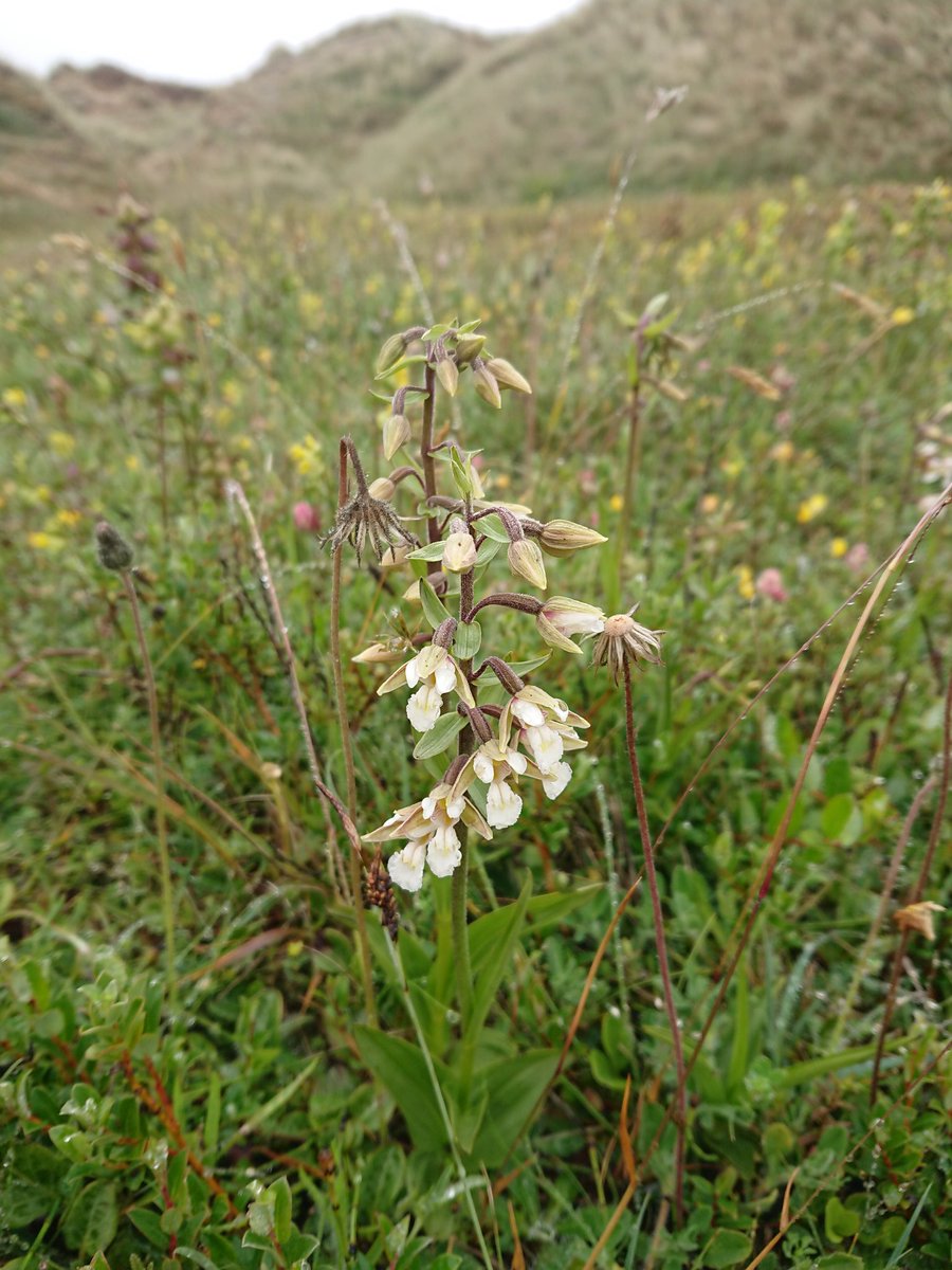 Robbie Blackhall-Miles tweet media