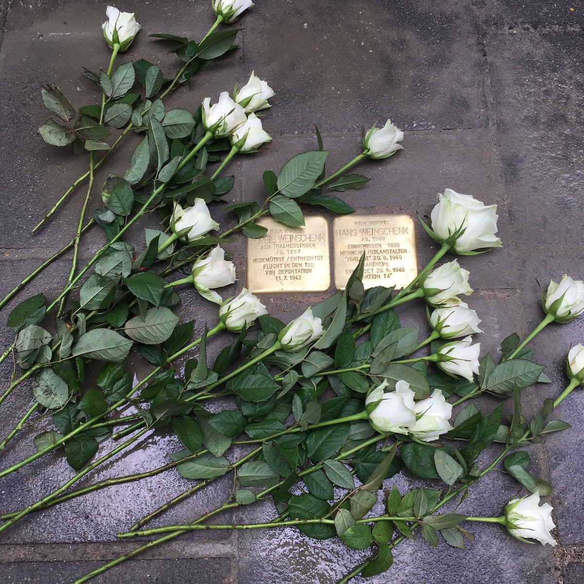 An vier Stationen in #Regensburg erinnern neue #Stolpersteine an das Schicksal von Opfern der NS-Gewaltherrschaft. Drei Schulklassen der FOS/BOS Regensburg waren bei der Verlegung vor der Weinschenk-Villa am Dörnbergpark dabei.