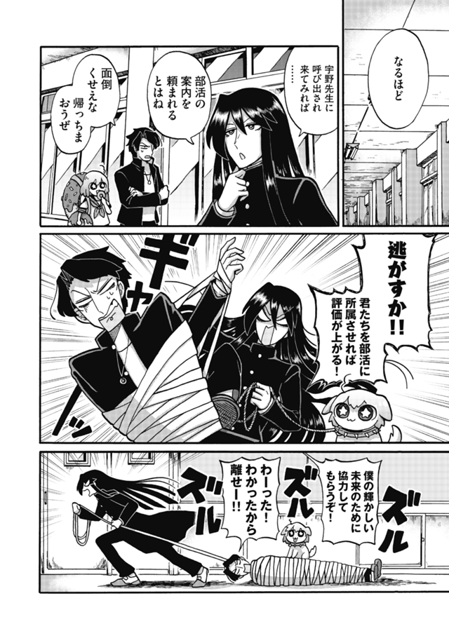 (3/6) 