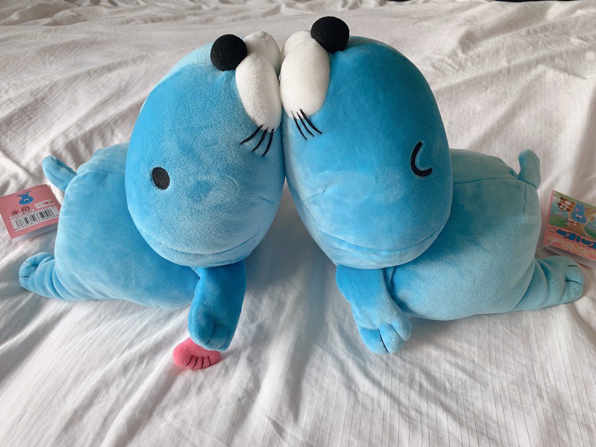 marugurit's tweet photo. 家帰って届いたもの見たら、おしるからぼのぼののふわもちぬいぐるみ来てたｗｗｗ　焦ったけどこれは嬉しい〜！！
ありがたや、、、 https://t.co/rdidRjal6x
