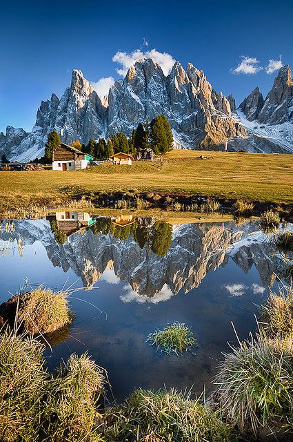 GALATEA💜✨ (@galatea321) on Twitter photo 