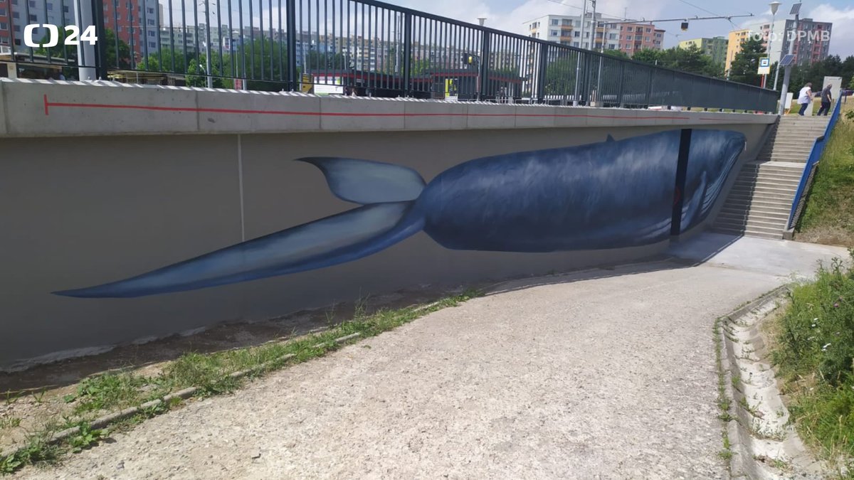 UdalostiBrno's tweet photo. Novou výzdobu má opravená opěrná zeď zastávky Ečerova v Brně-Bystrci. Vyobrazení plejtváka v životní velikosti a srovnání s malým dítětem vyjadřuje naději, že se nová generace bude k přírodě chovat lépe než ty předchozí. Autoři z Malujeme jinak pracovali na malbě tři dny. #Brno https://t.co/PlyskswGcN