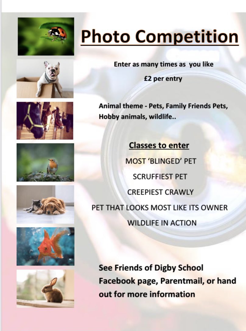 friendsofdigbyschool tweet media