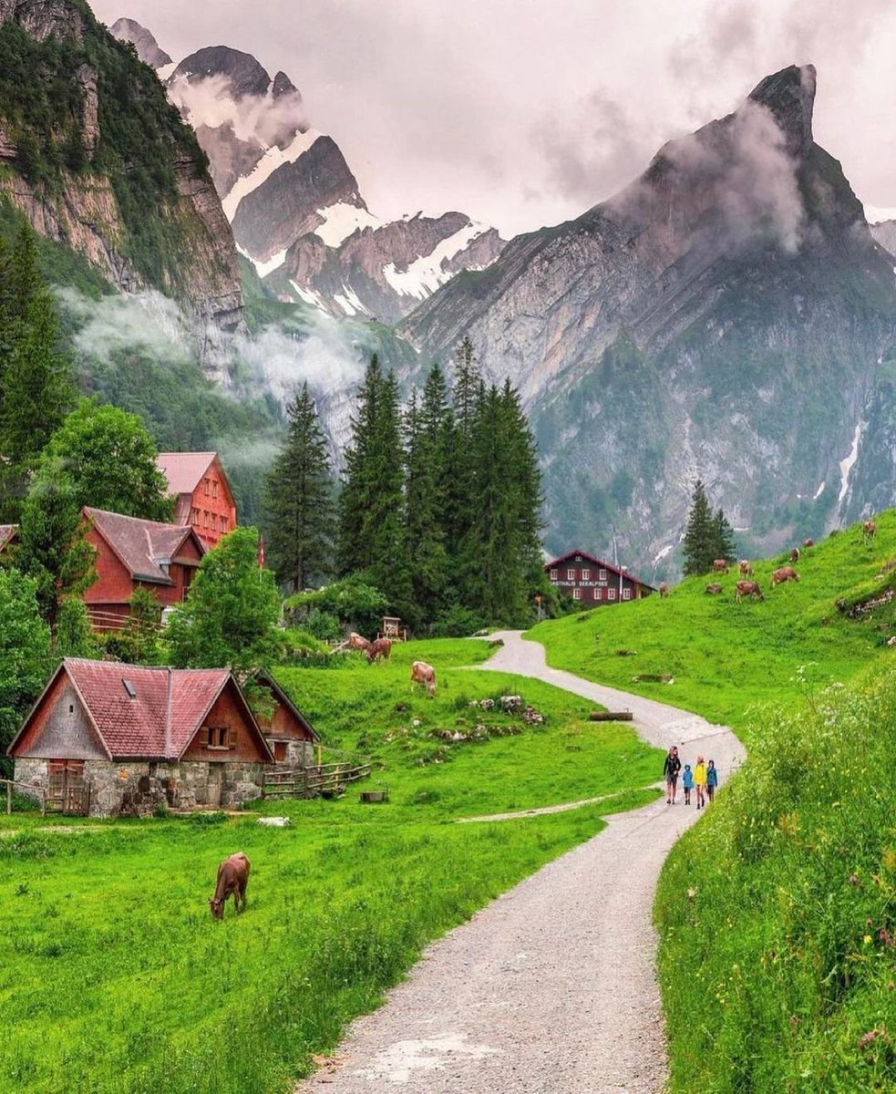 Exploreworldew's tweet photo. 🇨🇭Summer in Switzerland 😍 

#travel #Switzerland #summer #nature #photography #Serenity https://t.co/iTvA7tt9Op