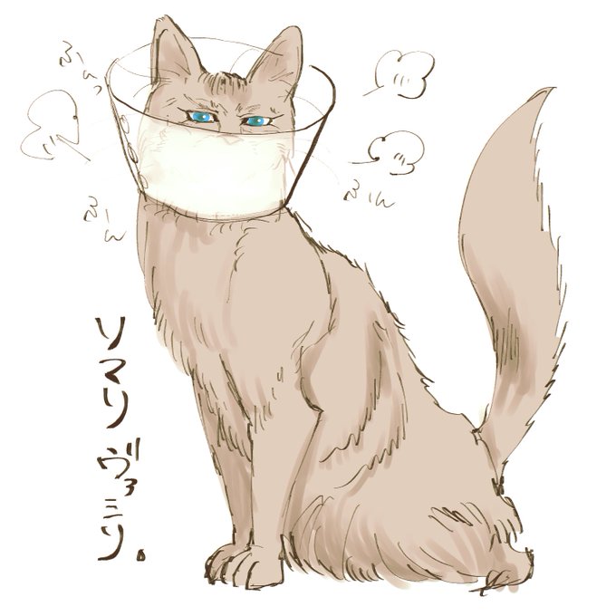 ゔぁ。 