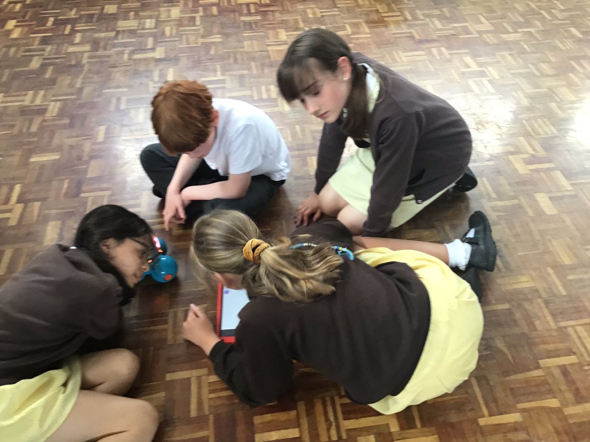 Having fun and overcoming all sorts of bugs in our coding!