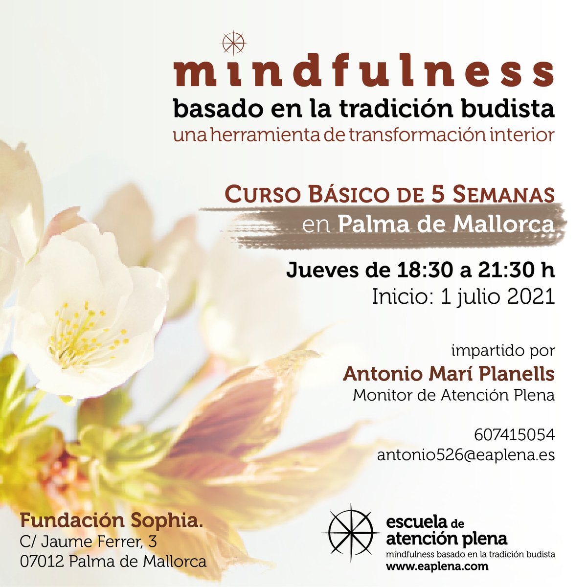 EAP_MBTB's tweet photo. El próximo 1 de julio en Palma de Mallorca empezaremos un nuevo Curso Básico de #AtenciónPlena. Si sientes que hay un espacio de serenidad en tu interior pero te resulta difícil alcanzarlo en tu vida diaria, este curso es para ti  👉
https://t.co/WBdfjuVXQP 
#Meditación https://t.co/wqGIooTQnT