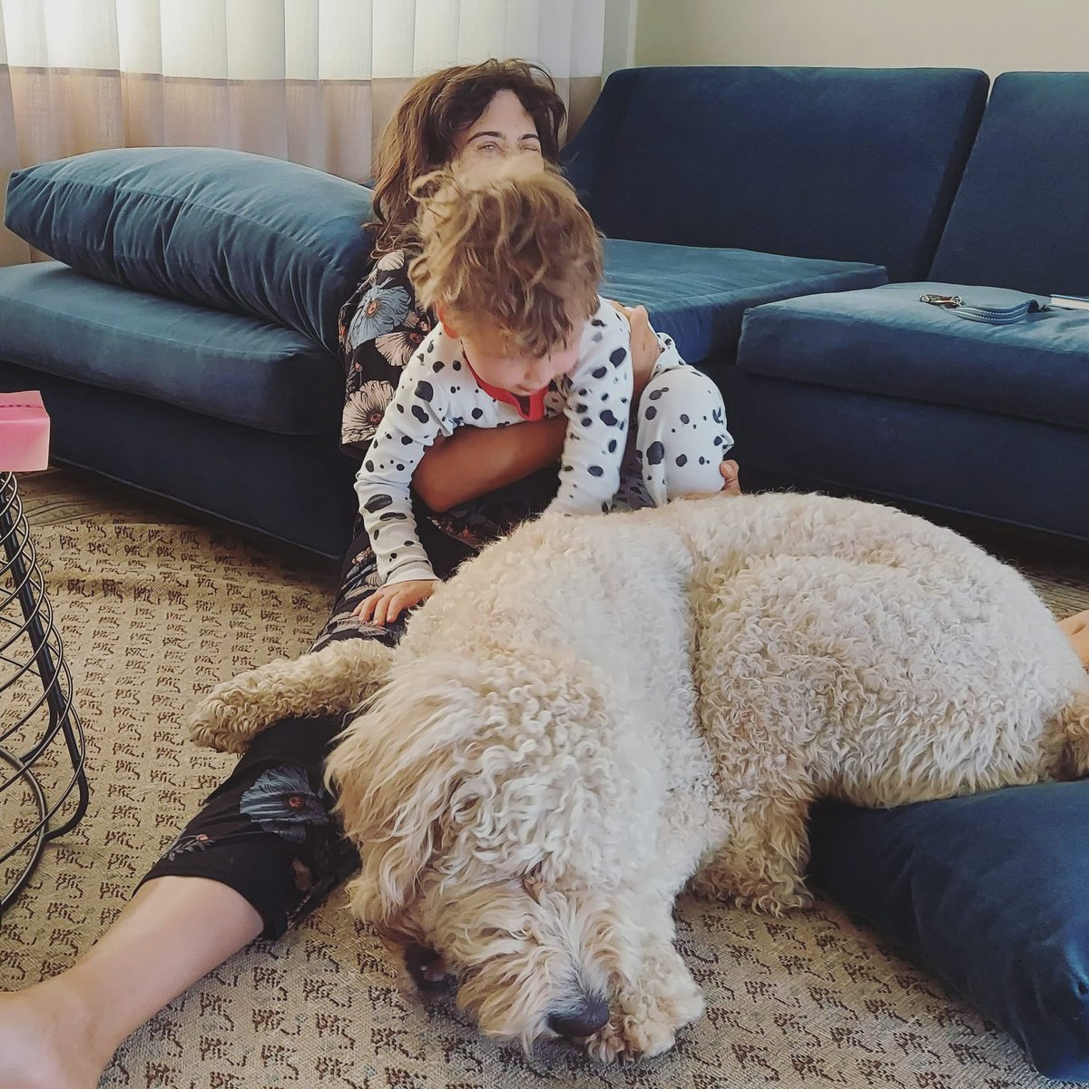 Adriana Porter Felt tweet media