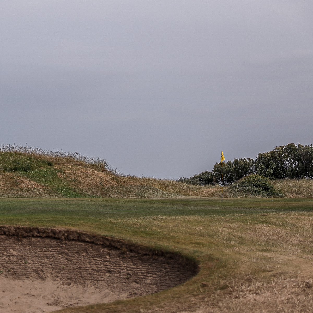 LandBGolfClub's tweet photo. A few shots from around the course, courtesy of @PaddyTalksGolf podcast.
#LBgolf #golf #golfing #linksgolf https://t.co/UL3CK7Bk0j