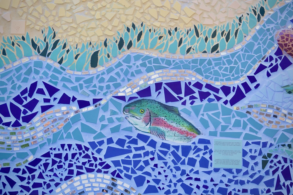 Green Star Movement tweet media