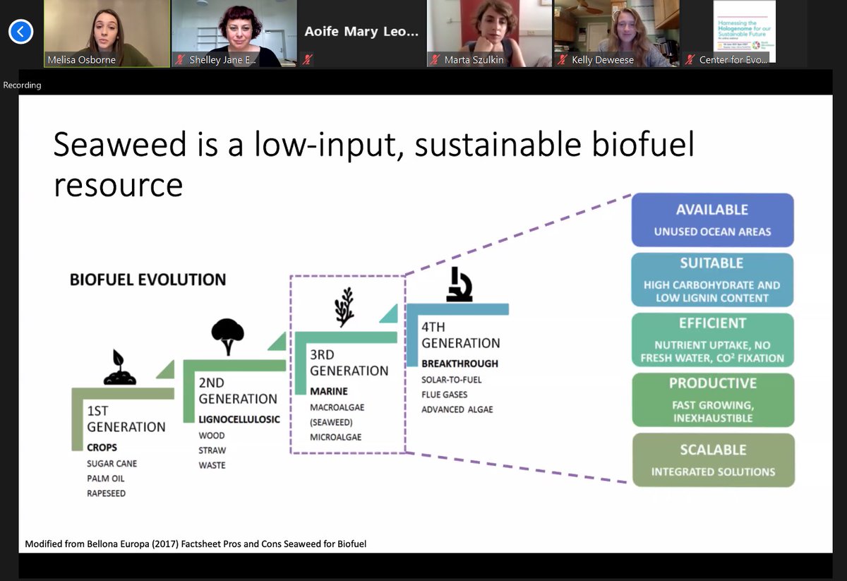 Webinar is now well under way!

We've just had the pleasure of <a href="/benshahary/">🎗️Yehuda Ben-Shahar</a> delving into the role of the #hologenome in defining group identity in social insects, and now <a href="/osborne_mg/">MGOsborne</a> and <a href="/yungsocialist/">kelly ⛷</a> are presenting on the huge potentials of better seaweed domestication!