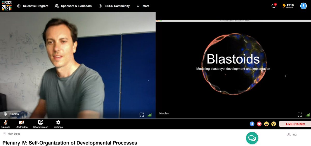 From the early embryo to tumor formation, gastruloids to organoids, stem cell scientists are unraveling the mysteries of how cells self-organize and develop into complex organisms. Hear more during Plenary IV happening now! #ISSCR2021 isscr2021.org @biotechne