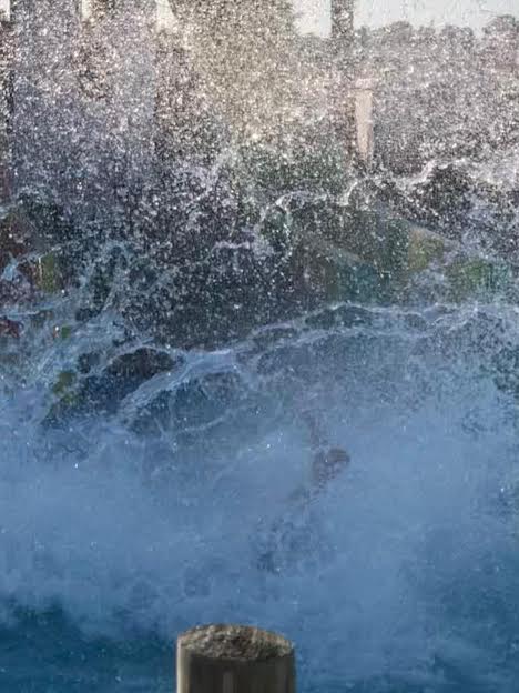 AHSCrystalApple's tweet photo. "Don't go down the waterslide," they said. "It will break," they said. Not this @AHSCrystalApple #MauiJacks #ArcadiaHighSchool #ArcadiaFirebirds #CrystalAppleAward https://t.co/vV0Tf3Y5bf
