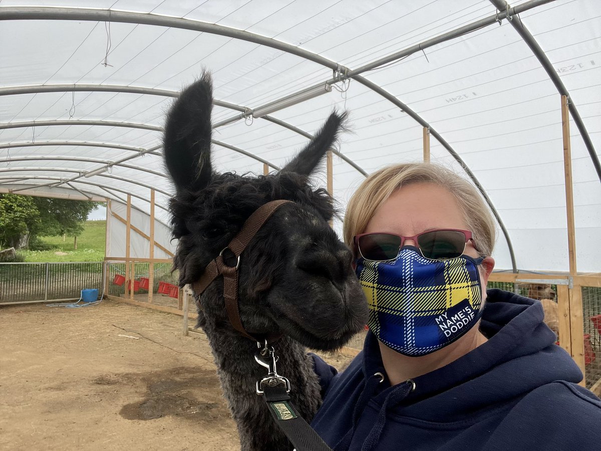 Cwtch_76's tweet photo. @MNDoddie5 @DoddieWeir5  even my new Pal Darius liked my face mask 🥰🥰 https://t.co/G0xPsnjges