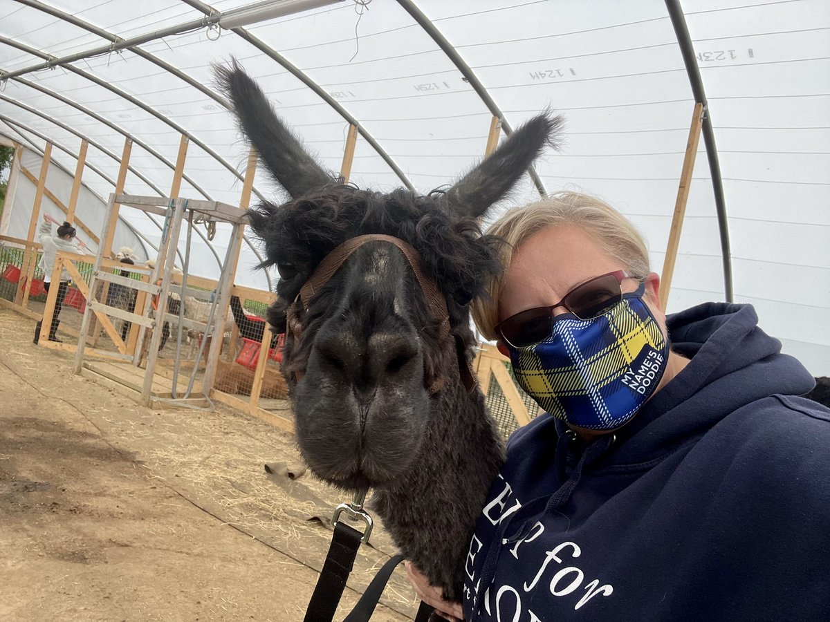 Cwtch_76's tweet photo. @MNDoddie5 @DoddieWeir5  even my new Pal Darius liked my face mask 🥰🥰 https://t.co/G0xPsnjges