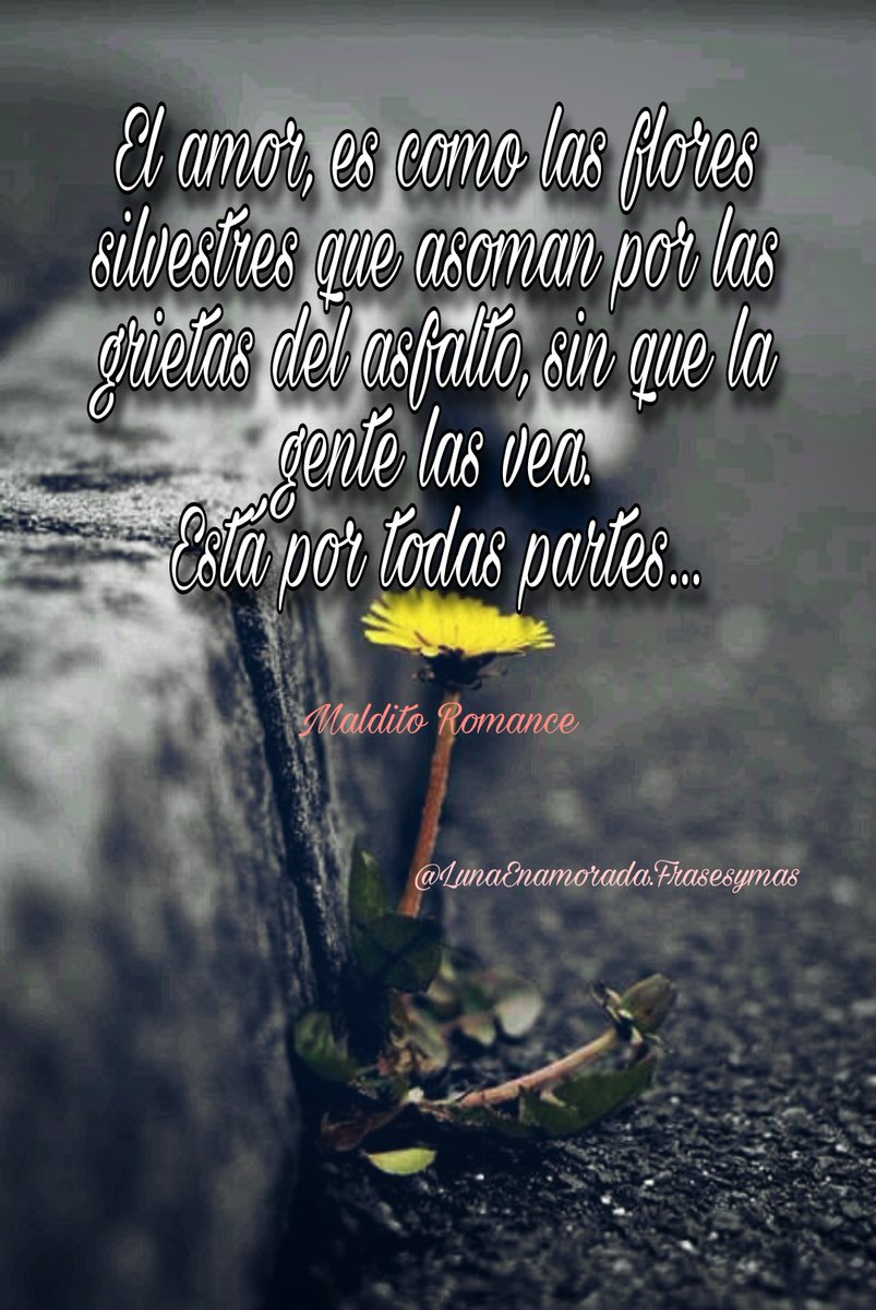 Lunei_7's tweet photo. #MalditoRomance
@LunaEnamoradaFM https://t.co/fiW5eLvi0z